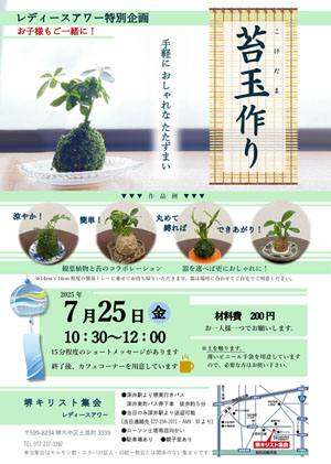 250725苔玉300